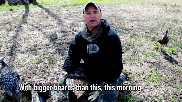 A Tale of Two Taylors • NBK Episode 7 S6