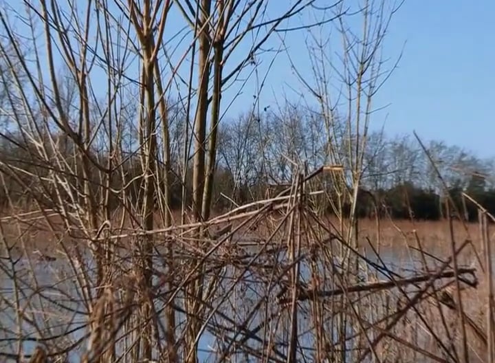 The Big Show • Alabama Deer Camp