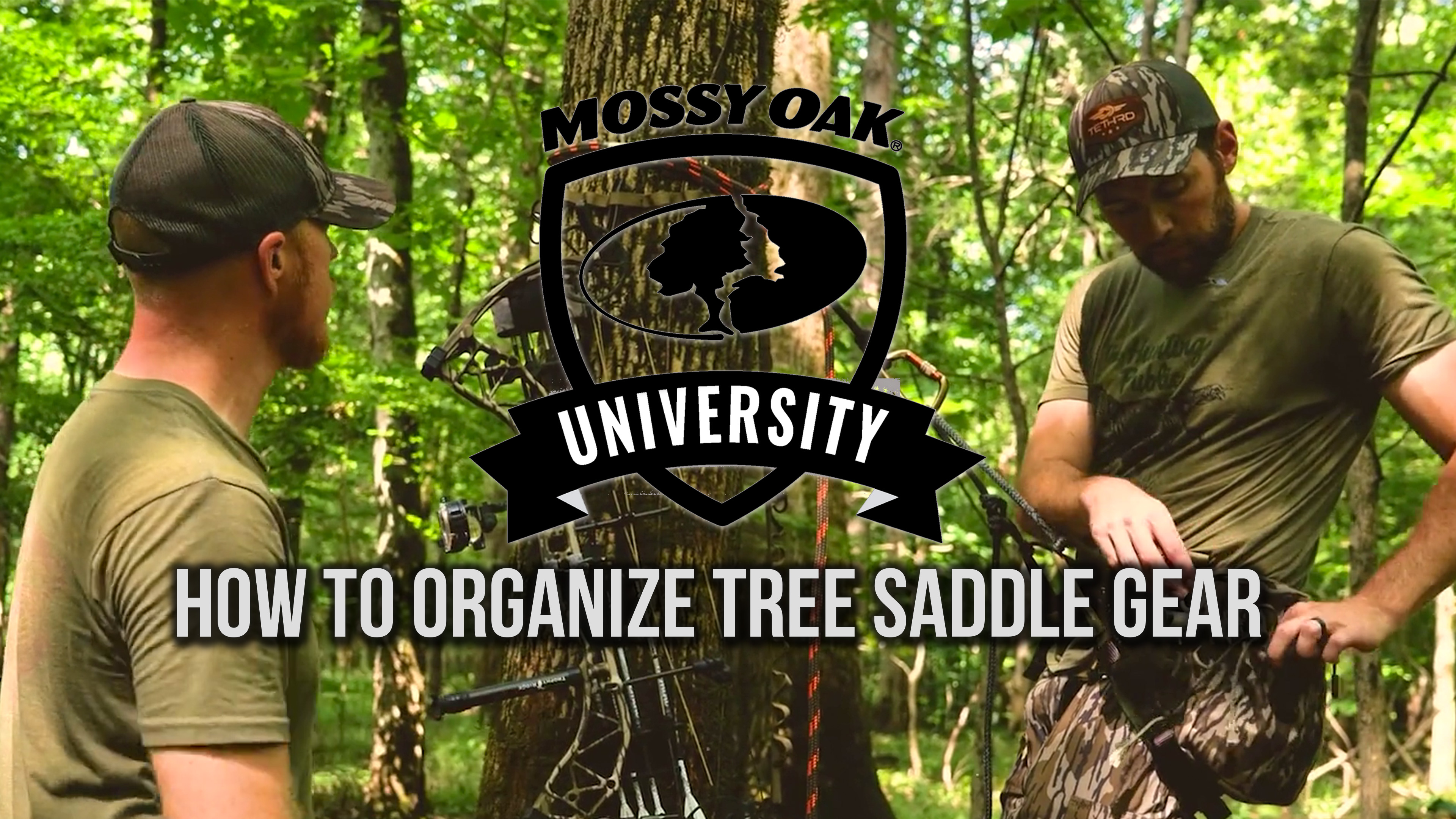 How to Organize Tree Saddle Gear