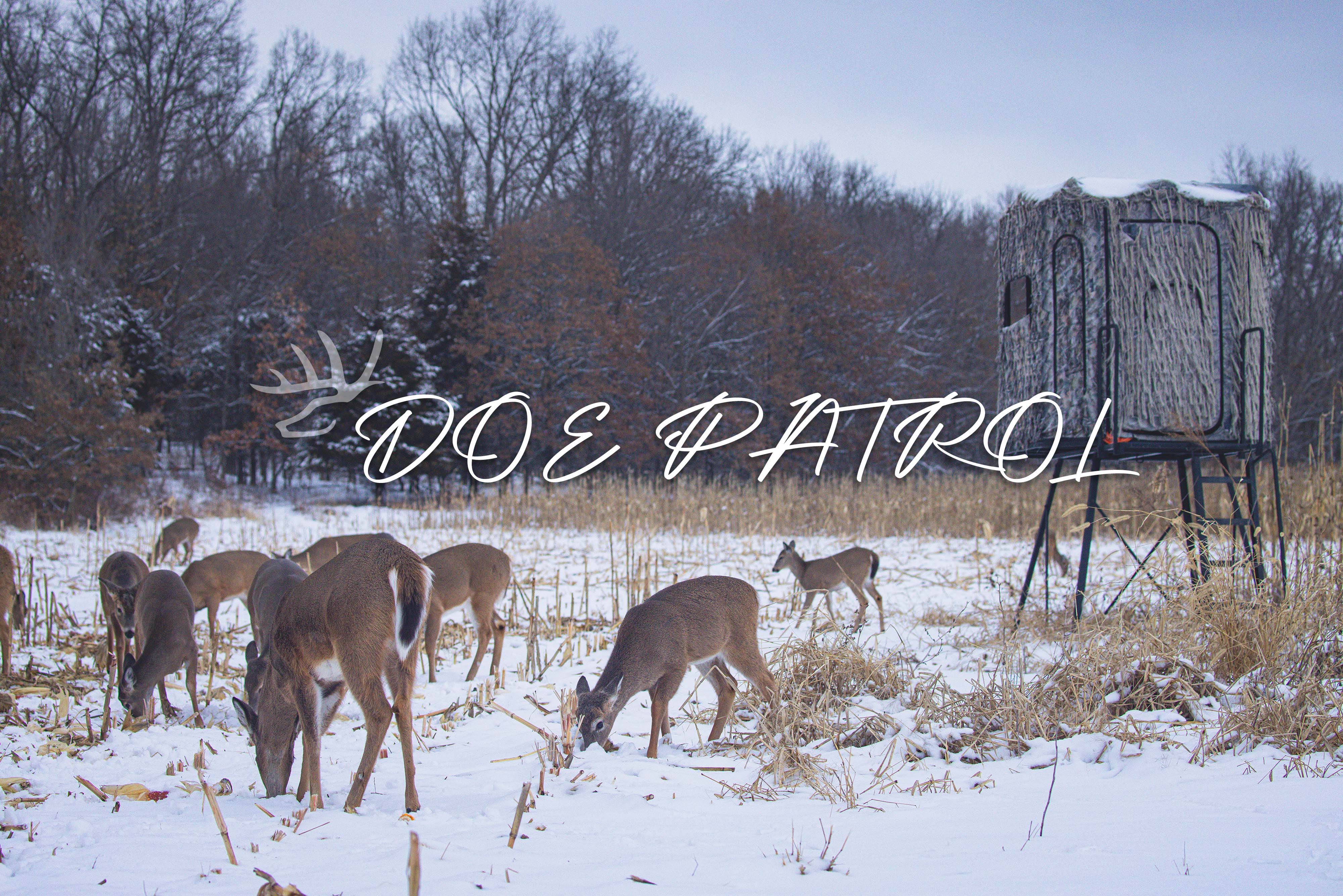 Doe Patrol • Heartland Bowhunter • Behind the Draw