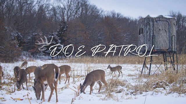 Doe Patrol • Heartland Bowhunter • Behind the Draw