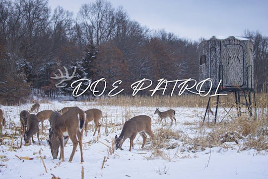 Doe Patrol • Heartland Bowhunter • Be...