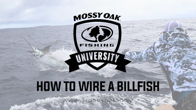 How to Wire a Billfish • Mossy Oak Un...