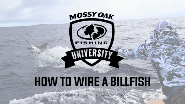 How to Wire a Billfish • Mossy Oak University