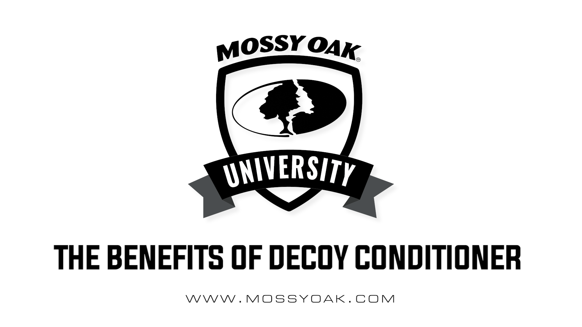 The Benefits of Decoy Conditioner