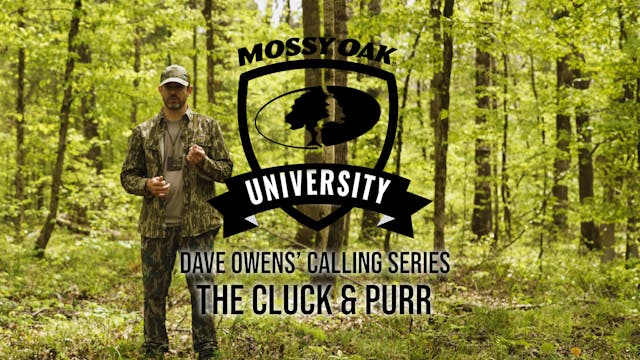 Dave Owens’ Turkey Calling Tips: THE ...