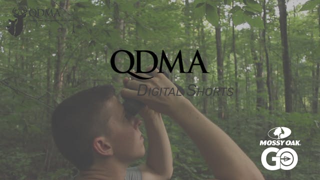 Hard Mast Survey • QDMA Shorts