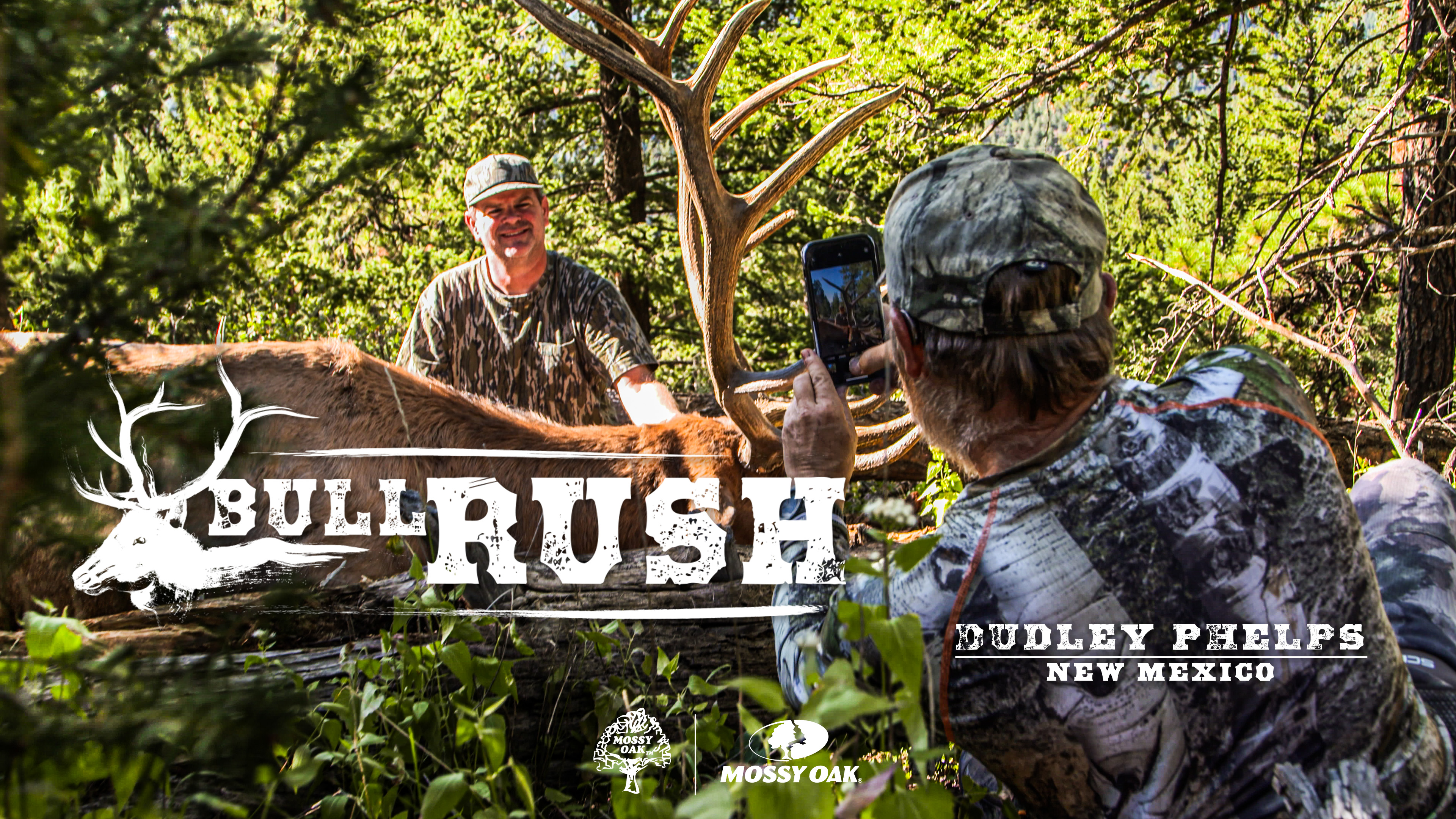 Bull Rush Featuring Dudley Phelps • New Mexico Elk