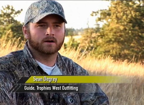 Two in the Bush • Pronghorn and Turke...