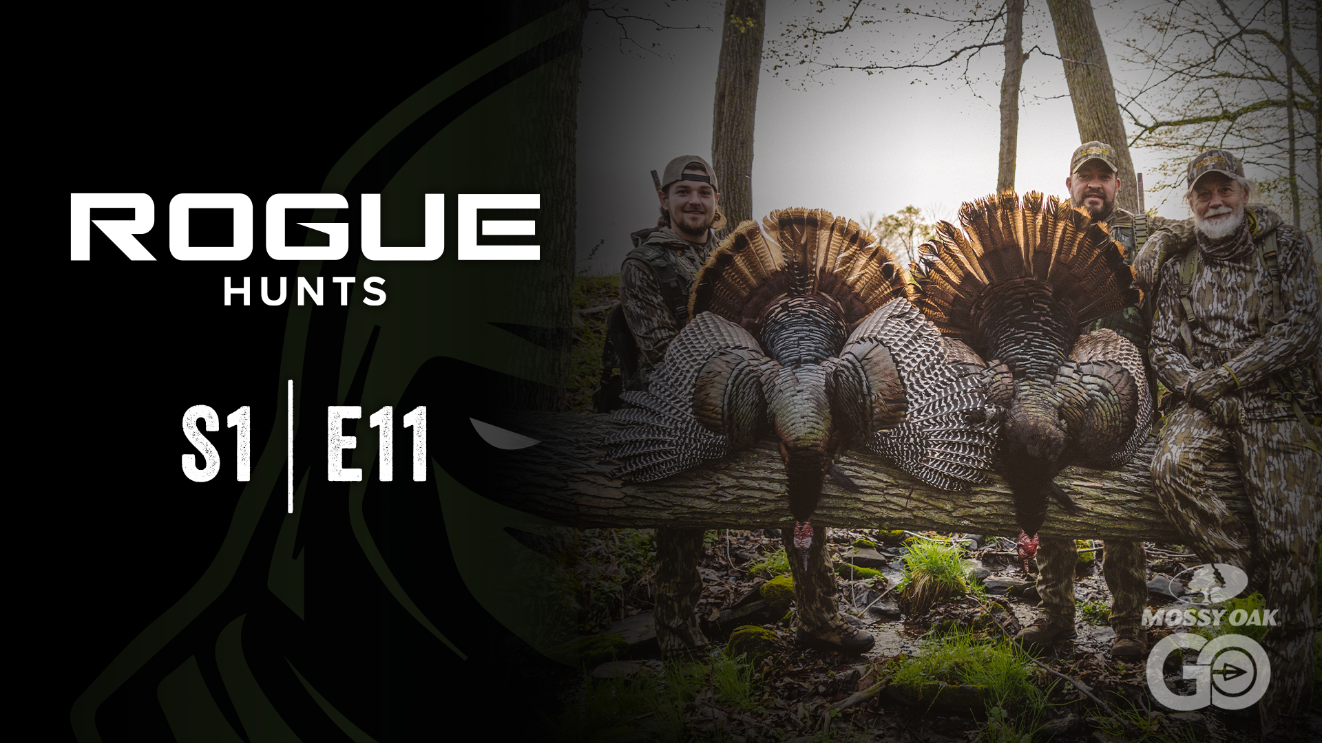 Rogue Hunts • S1 Ep11 • PA