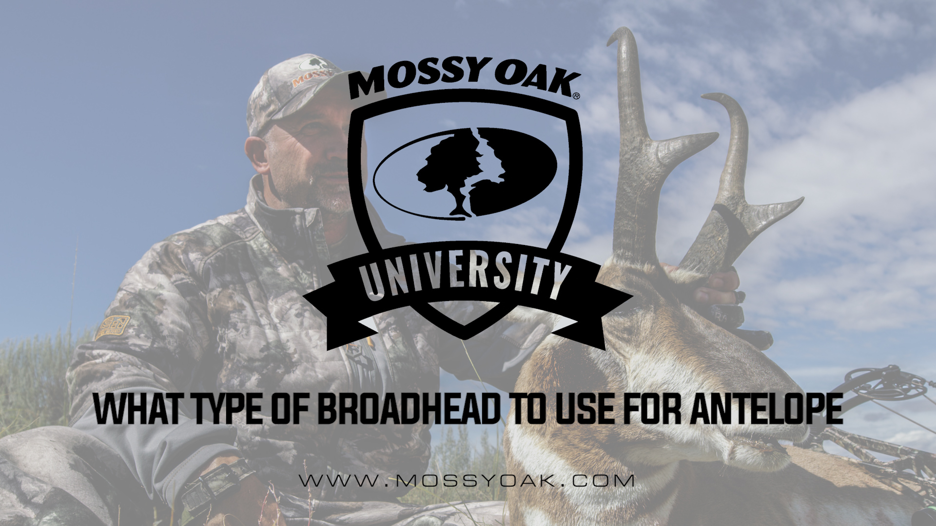 What Type of Broadhead To Use For Antelope