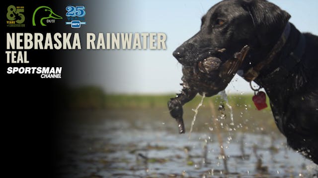 Nebraska Rainwater Teal • DU TV