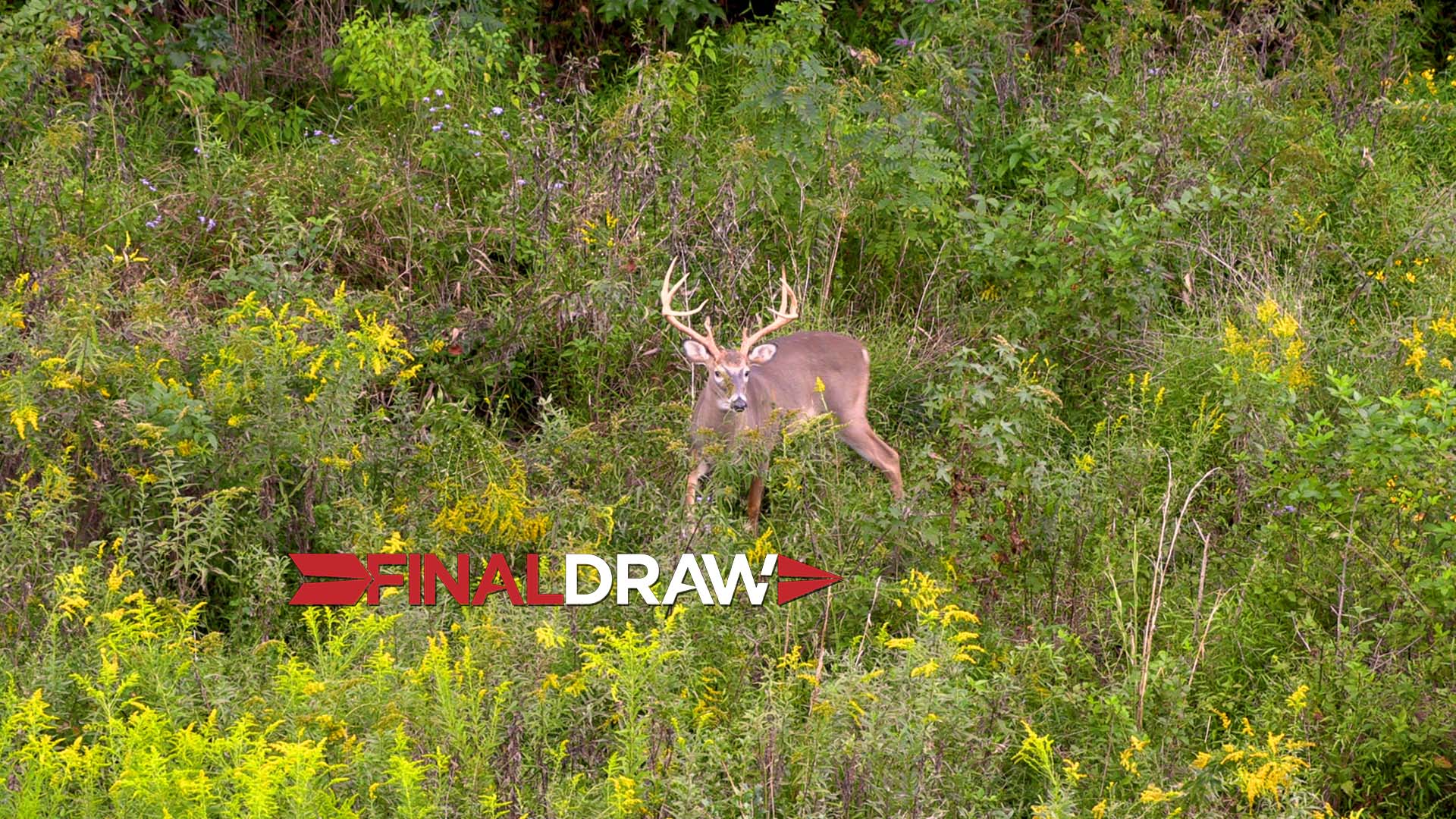 Lynseys Hitlister • Final Draw