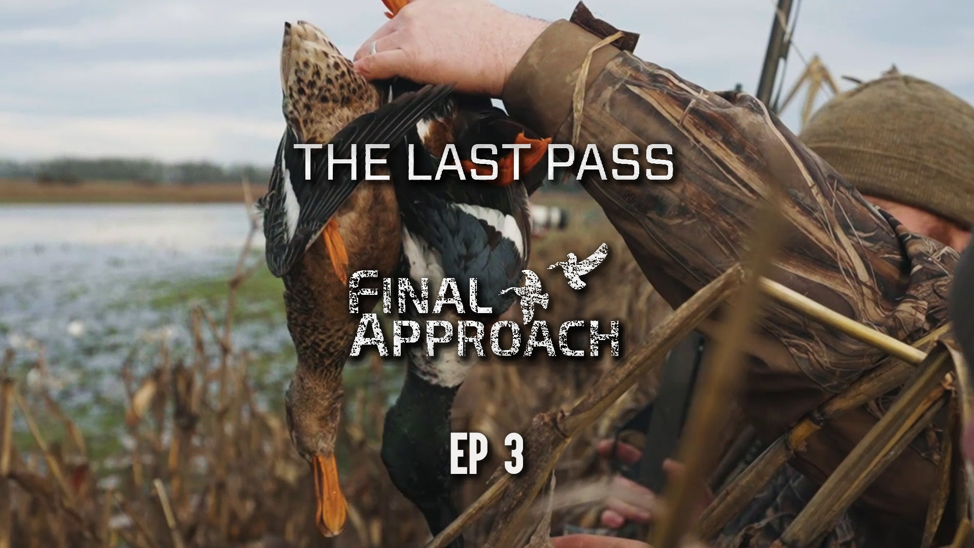 Last Pass Episode 3 • 2 Many Birds In Oregon!
