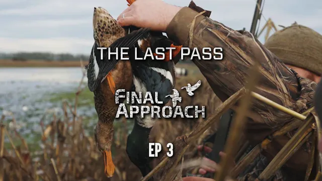 Last Pass Episode 3 • 2 Many Birds In...