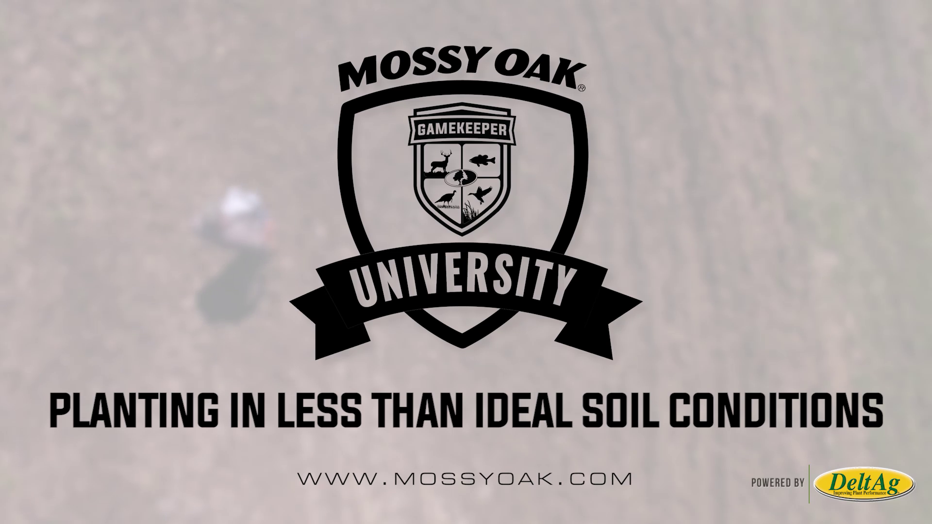Planting in Less Than Ideal Soil Conditions • Mossy Oak University