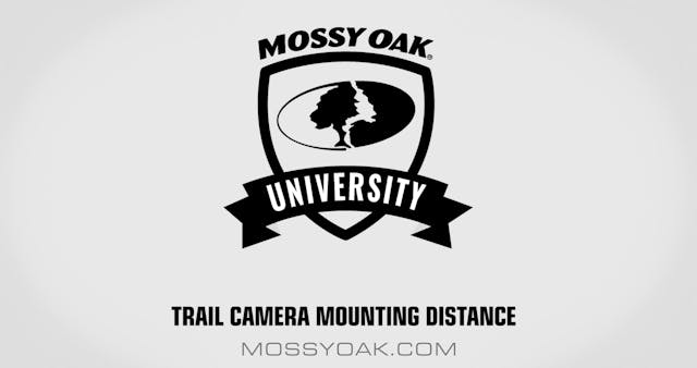Optimal Trail-Camera Mounting Distanc...