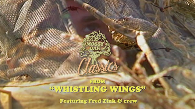 From Whistling Wings w/ Fred Zink & C...