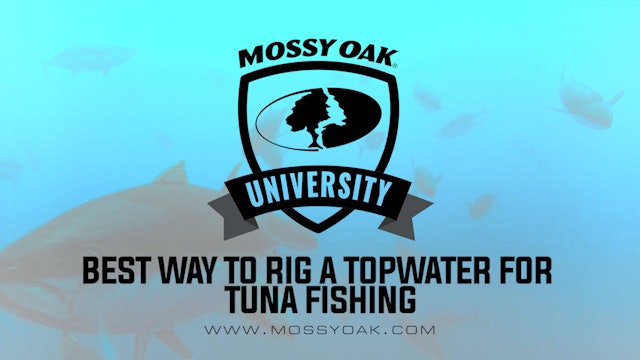 Best Way to Rig a Topwater for Tuna Fishing