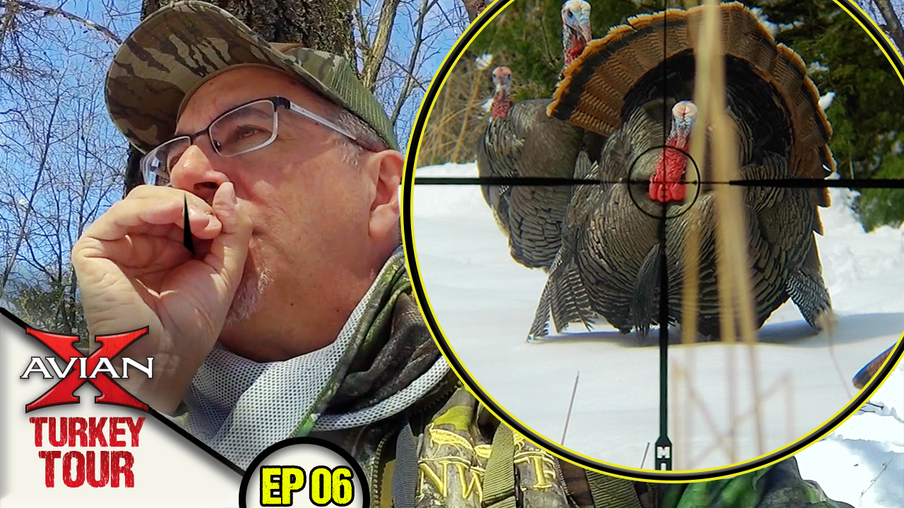 Hunting Longbeards in a Foot of Snow • Avian X Turkey Tour