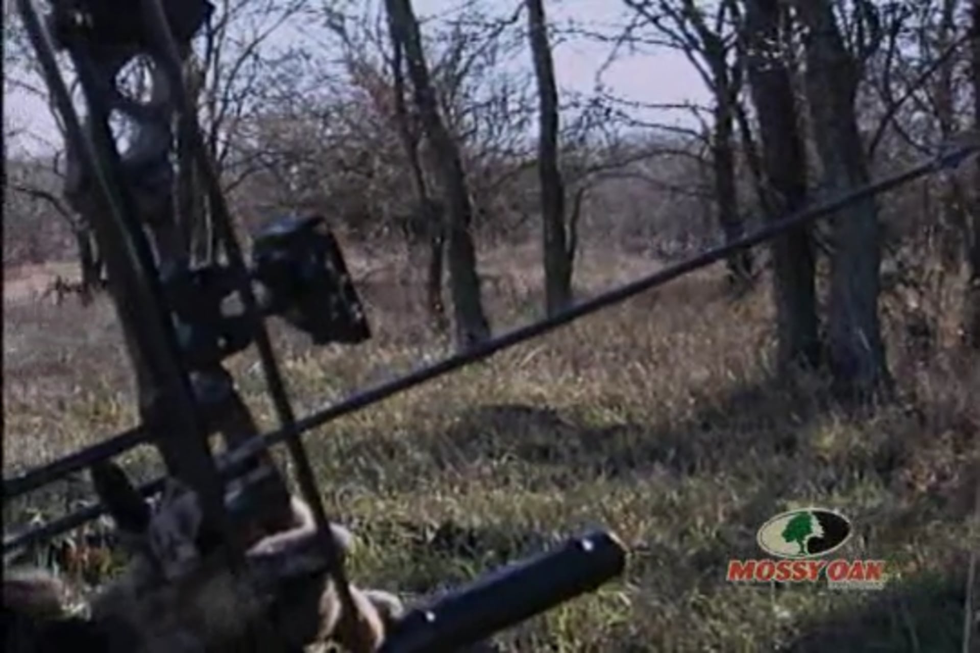 Grounded in Texas • Bowhunting Bucks at Eye Level