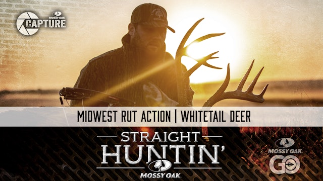 Midwest Rut Action • Whitetail Deer • Straight Huntin'
