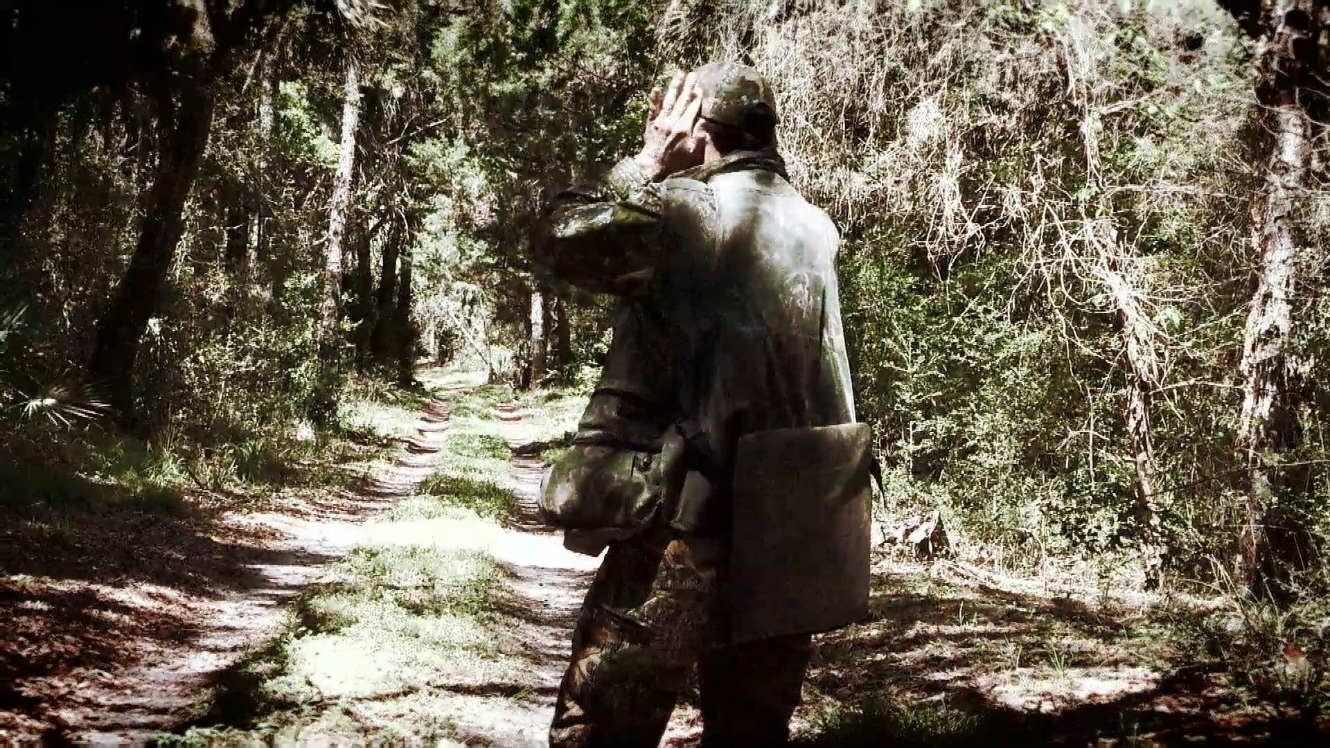 The Lull • Turkey Hunting in Florida