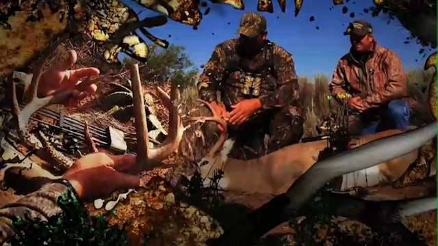 Oklahoma Archery • Bowhunting Big Country Bucks