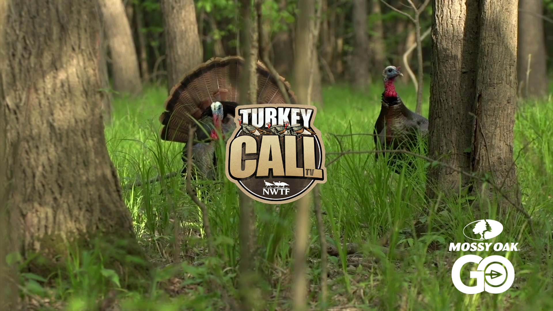 Full Circle • NWTF