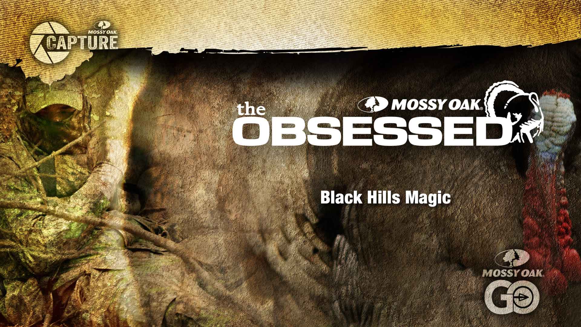 Black Hills Magic • Wyoming Turkey Hunting