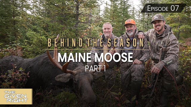 Maine Moose Part 1 • Behind the Season
