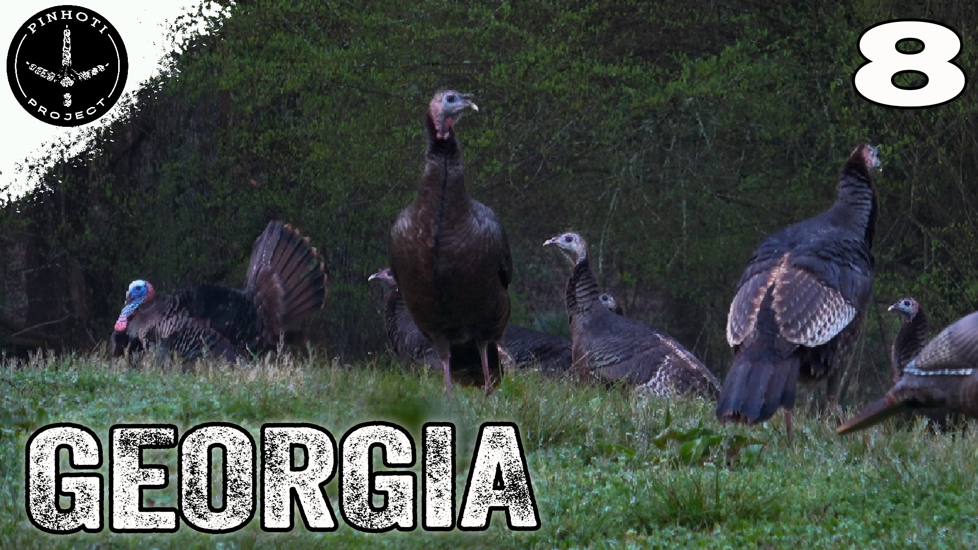 Pinhoti 2024 Ep 8 • Pinhoti Project