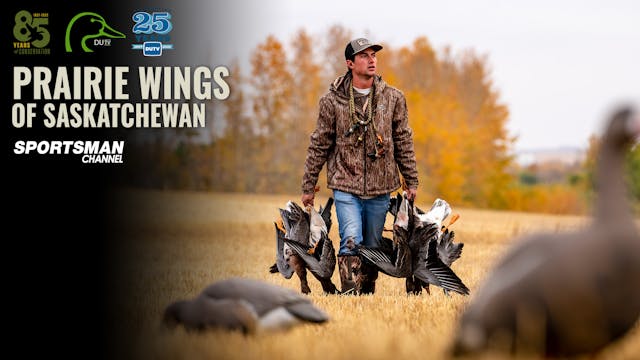 Prairie Wings of Saskatchewan • DU TV