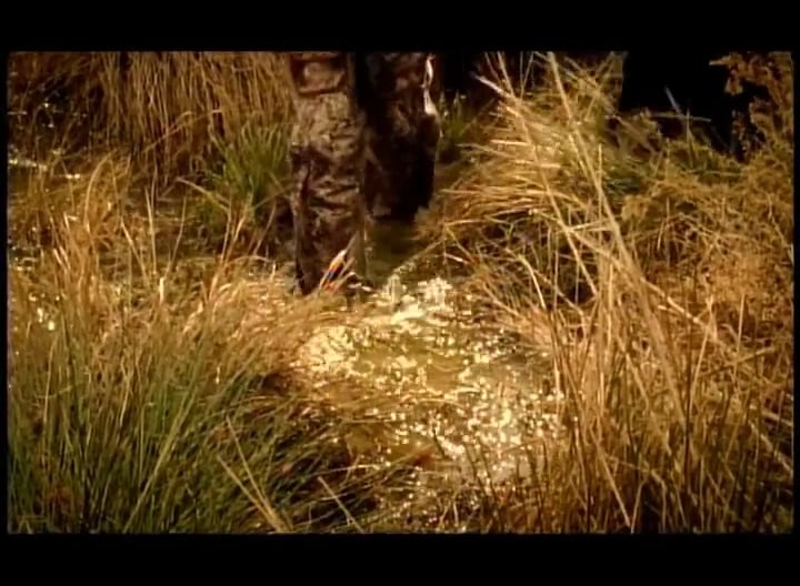 Huntin' and Pickin' • Turkeys in Texas