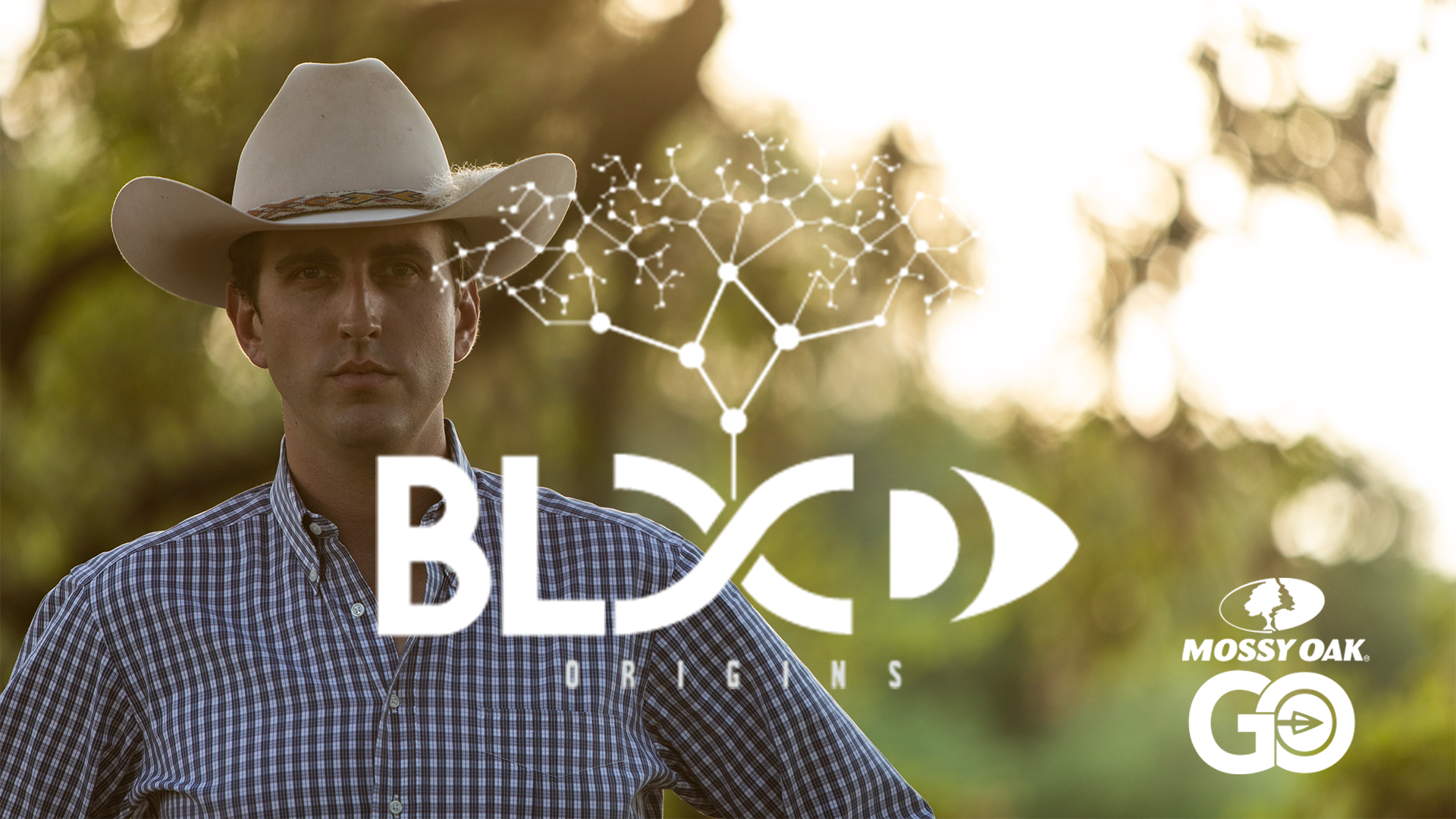 Ranchers Heart • Blood Origins