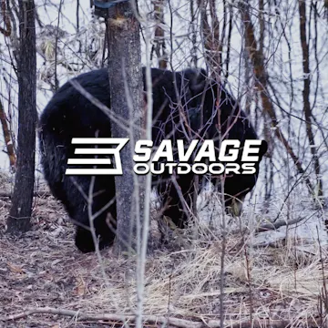 Black Bear Madness • Savage Outdoors