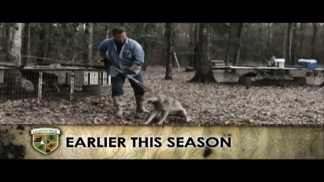 Catch Dog Chronicles • Part 3 • Coyote Trapping