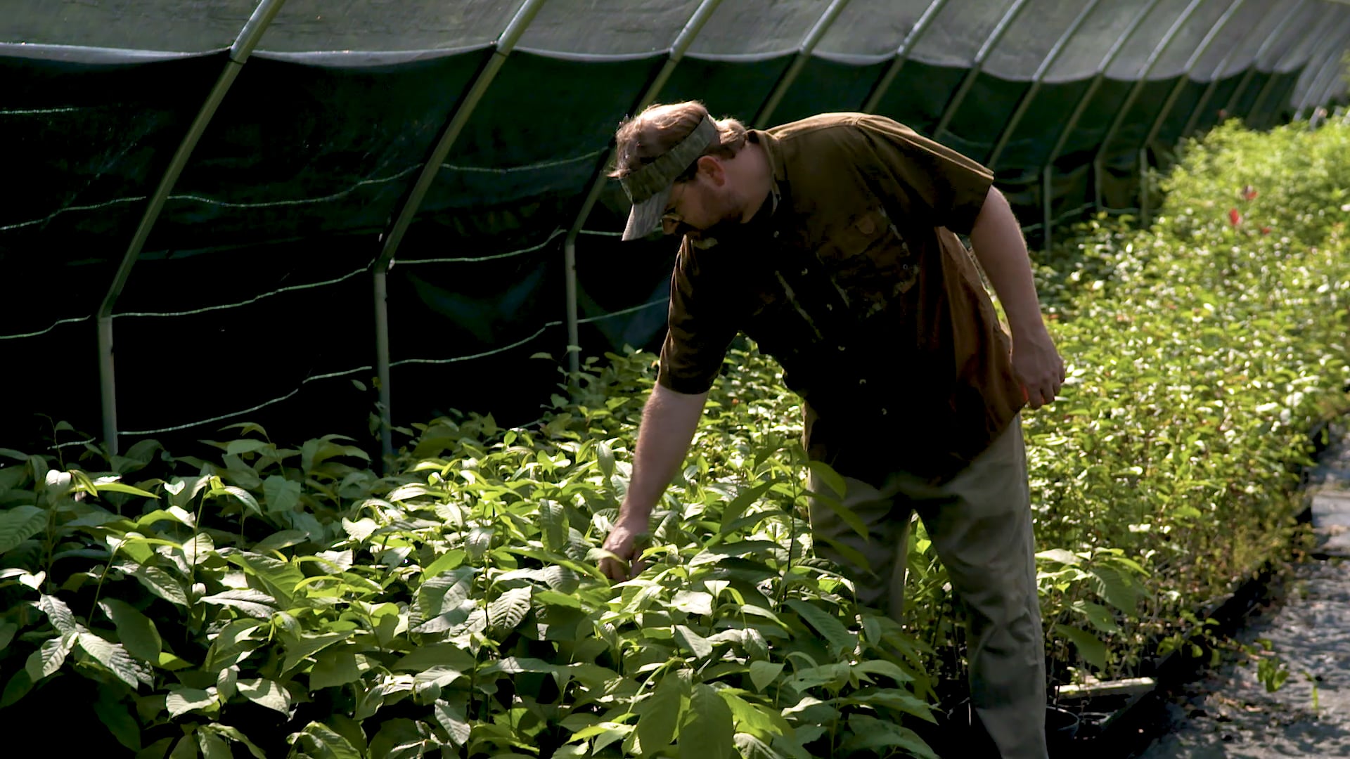 Gamekeeper Field Notes • Tree Planting Tips & Tour of Nativ Nurseries