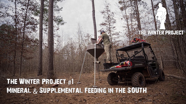 Mineral and Supplemental Feeding in the South • The Winter Project
