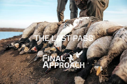 Last Pass Episode 14 • Greasy Late Mi...