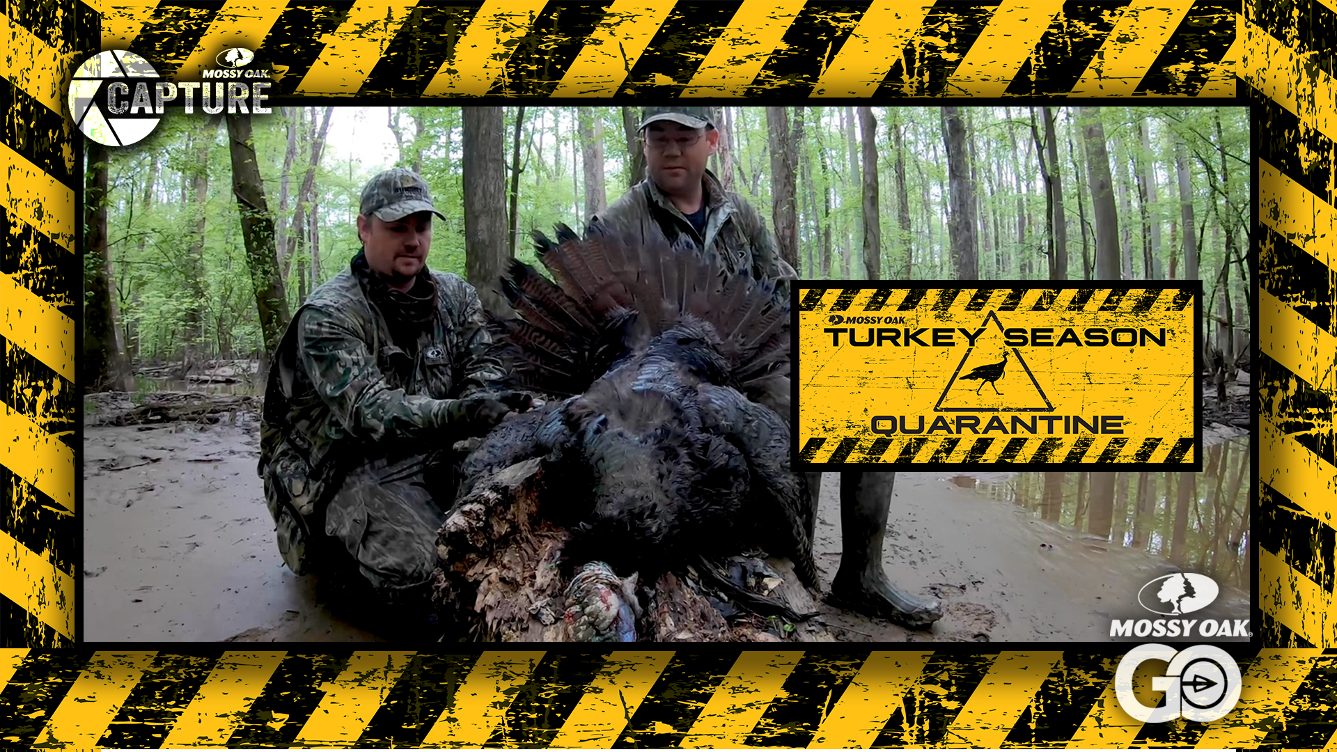 Public Swamp Bird • Turkey Season Quarantine