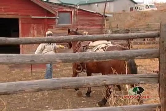 It’s Kind of Our Thing • Rifle Hunting Whitetail Deer in Montana