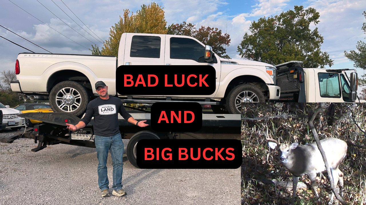 Bad Luck And Big Ohio Bucks • Stompin' Groundz