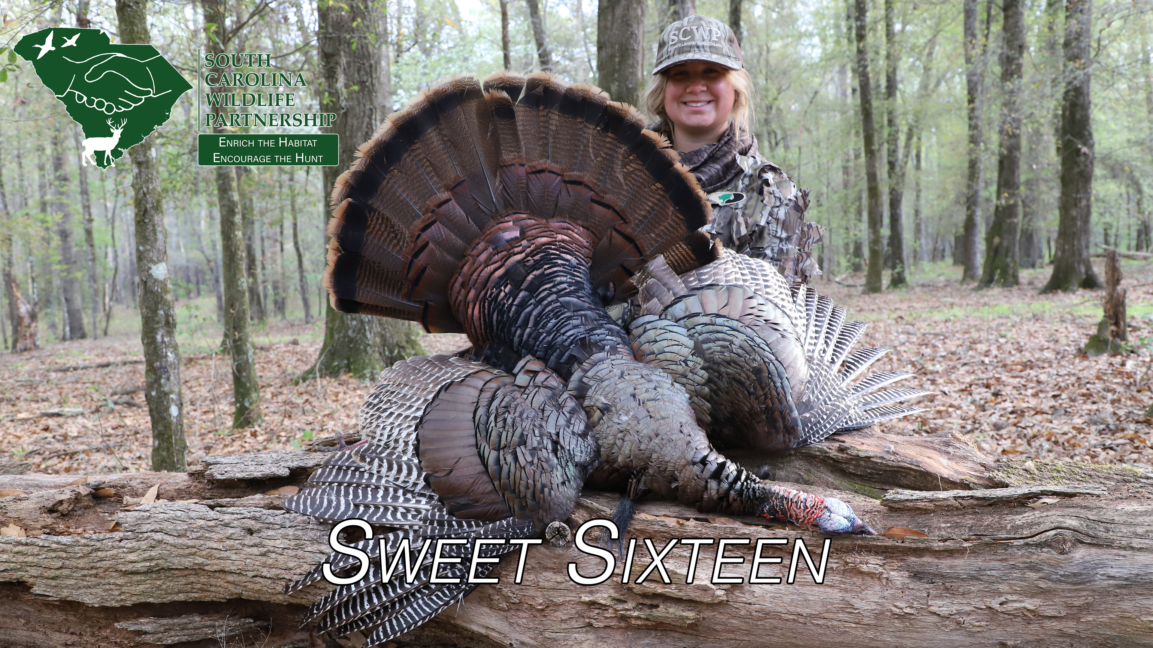 Sweet Sixteen • Enrich The Habitat Encourage The Hunt