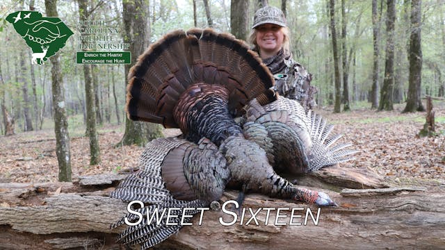 Sweet Sixteen • Enrich The Habitat En...