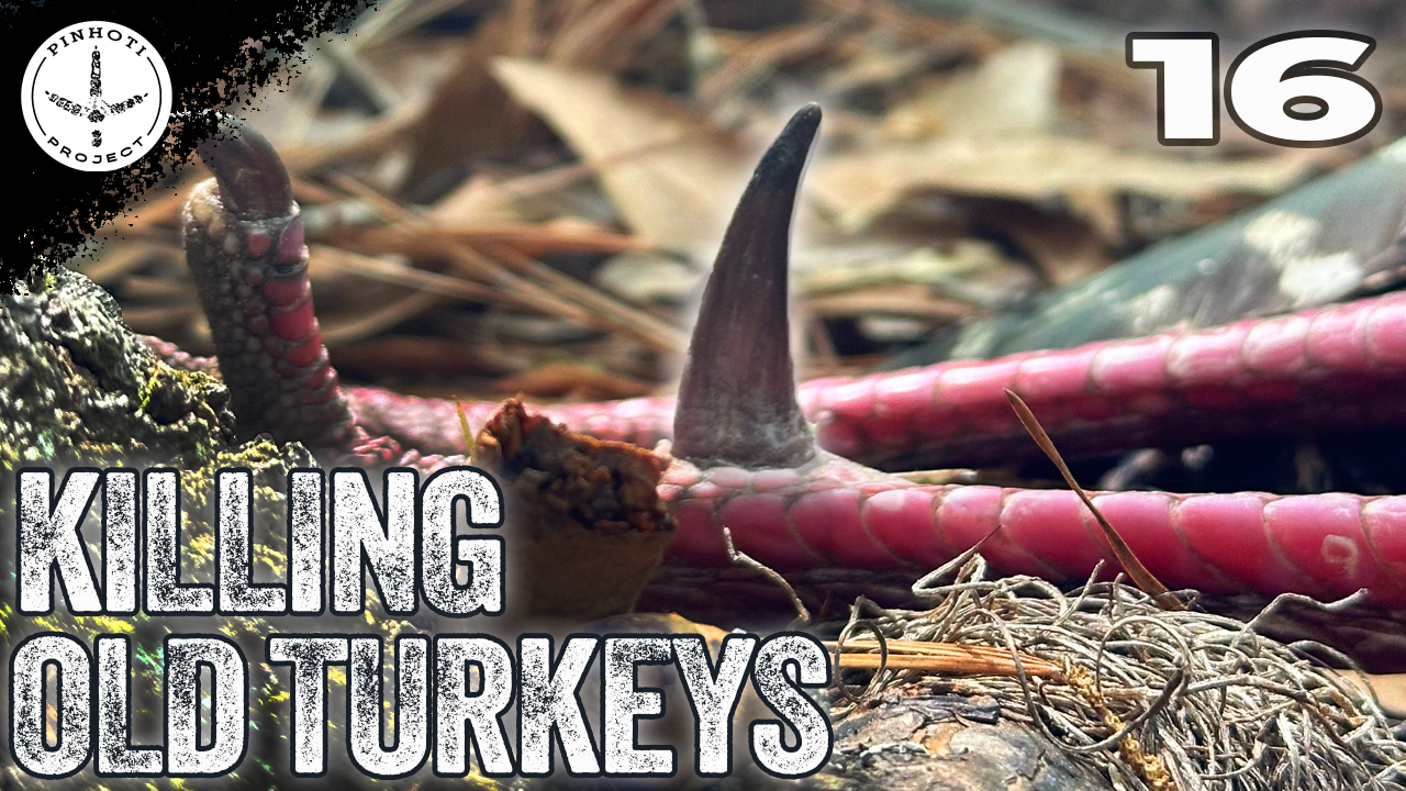 Pinhoti 2025 Ep 16 • Pinhoti Project