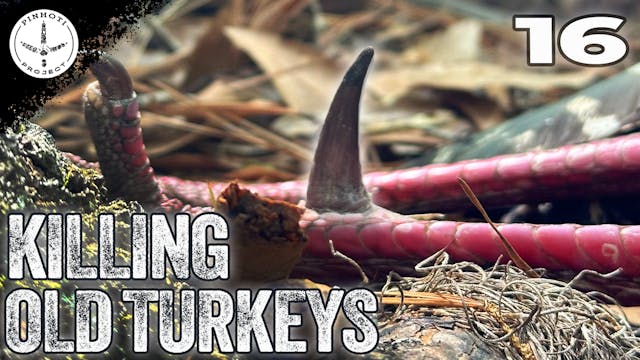 Pinhoti 2025 Ep 16 • Pinhoti Project