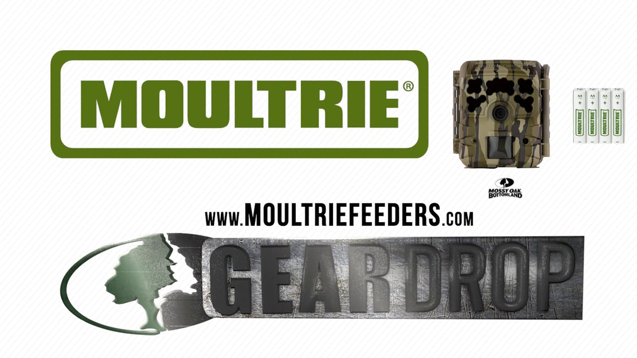 Moultrie Micro42i Trail Camera • Geardrop Mossy Oak GO