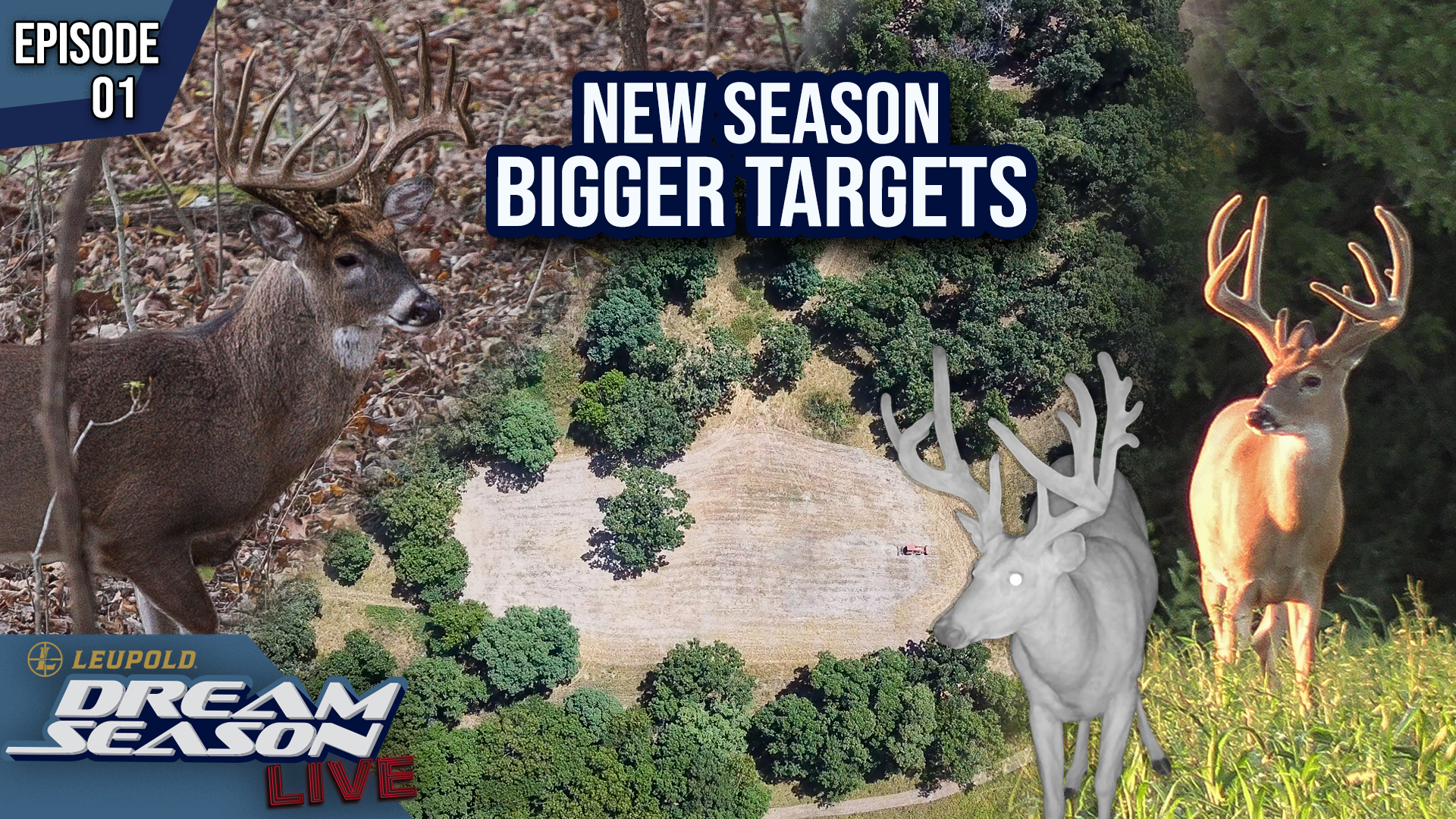 Using Historical Data To Plan For A New Deer Season • Dream Season Live