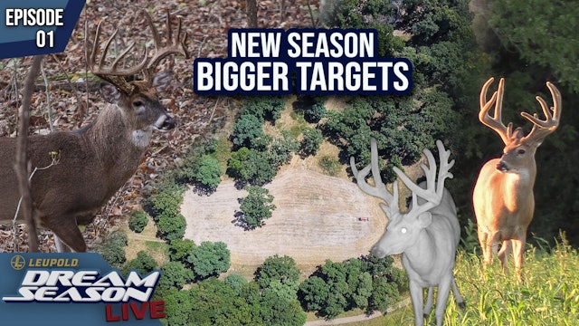 Using Historical Data To Plan For A New Deer Season • Dream Season Live